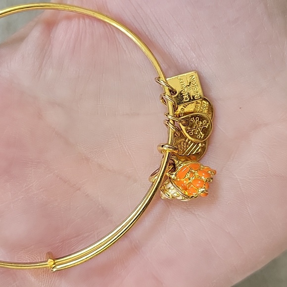 Alex and Ani Sea Themed Charm Bracelets - Lot of 2 - Picture 3 of 5